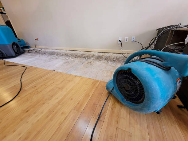 Professional Structural Drying technician working in Sugar Hill, GA